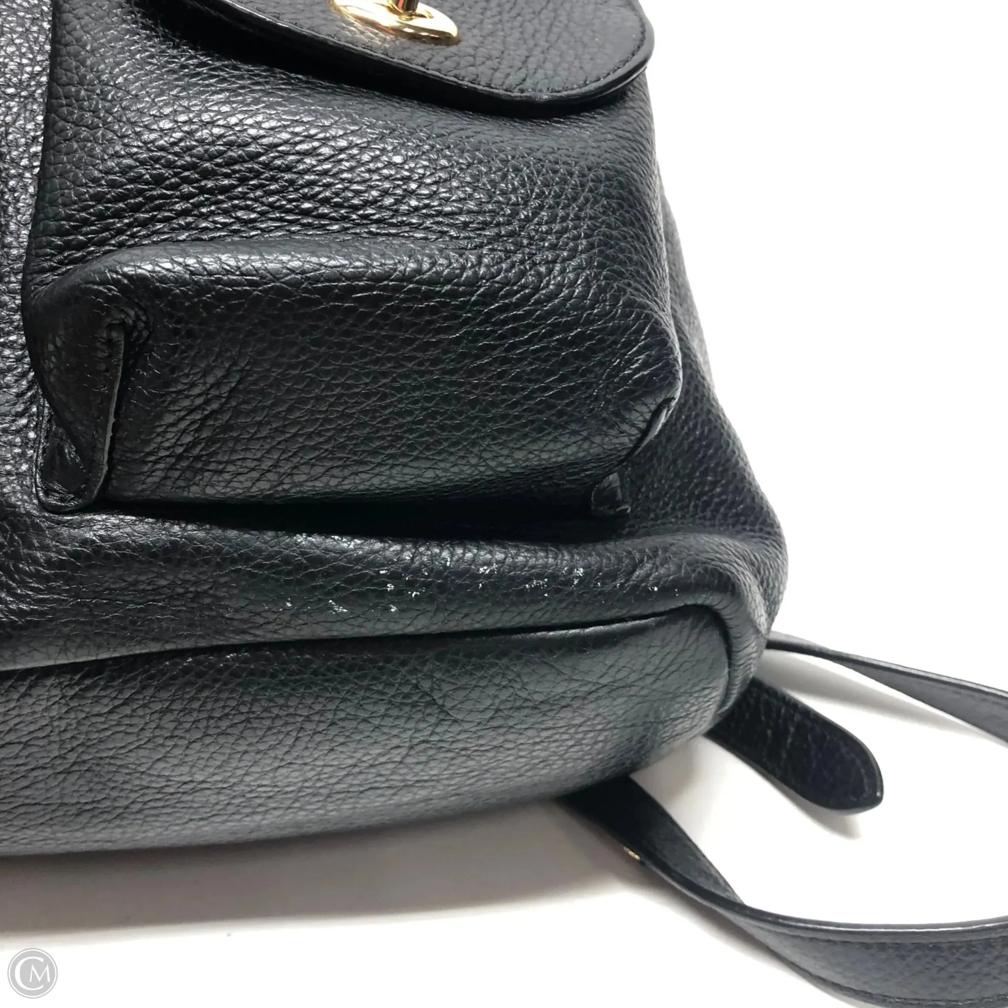 Backpack Designer By Coach, Size: Medium