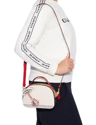 Coach Disney Mickey Mouse X Keith Haring Serena Satchel