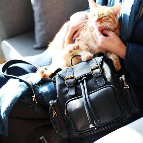 Cute Trendy Womens Small Black Leather Backpacks Womens Black School Backpack Purse